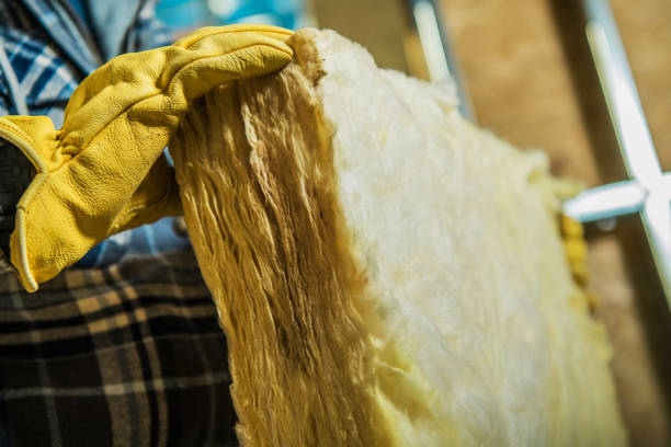 Best Insulation for Specific Applications in Ellaville, GA